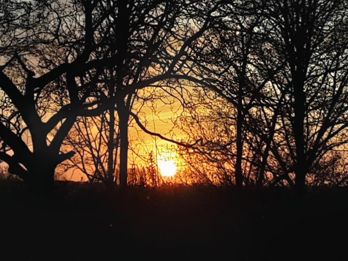Villa Commune Poldersview Sluis Zewnętrze zdjęcie
